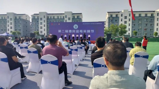 山東省惠民縣第二屆藍莓采摘節在淄角舉行