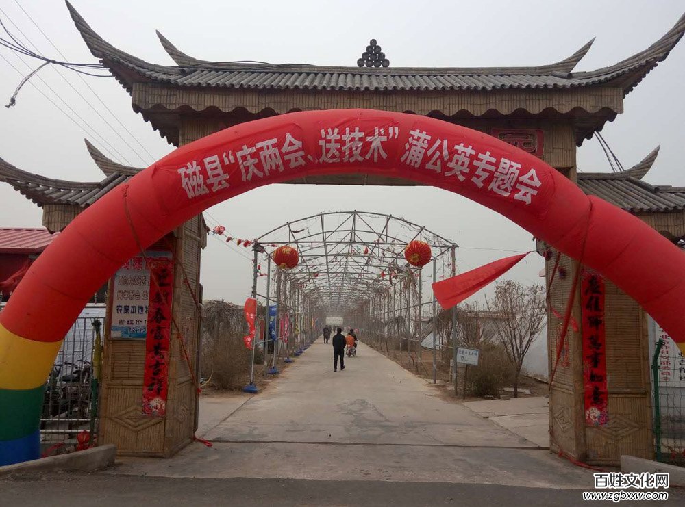 河北磁縣舉辦“慶兩會(huì)、送技術(shù)”蒲公英專題培訓(xùn)會(huì)