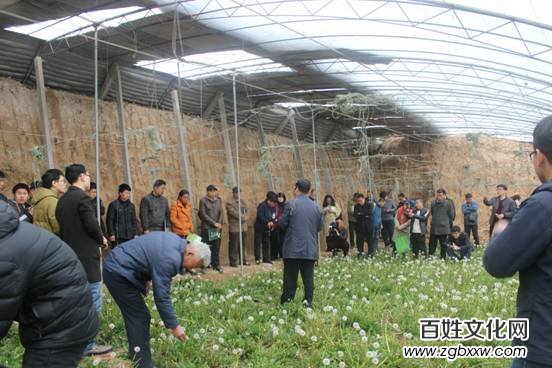 河北磁縣舉辦“慶兩會(huì)、送技術(shù)”蒲公英專題培訓(xùn)會(huì)