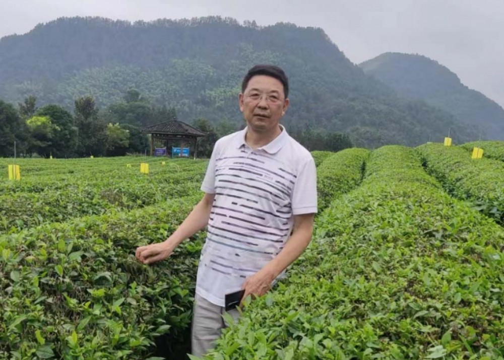 《中國現代文化》雜志社編委——楊志強