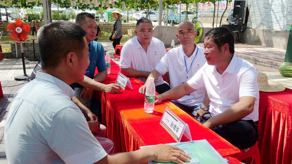 葡萄園里助農忙——碳氫核肥碳氫葡萄現場觀摩會在福建福安象環村召開