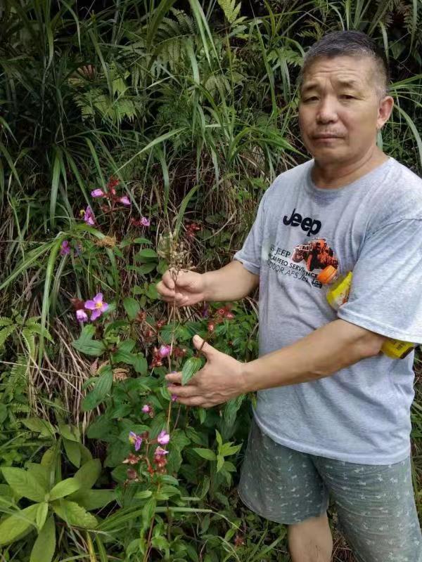 高級(jí)反射蜂療專家范景良 高級(jí)反射蜂療專家范景良