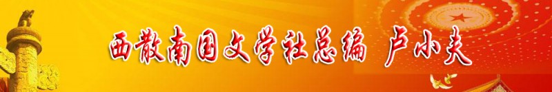 盧小夫：西散南國文學社總編
